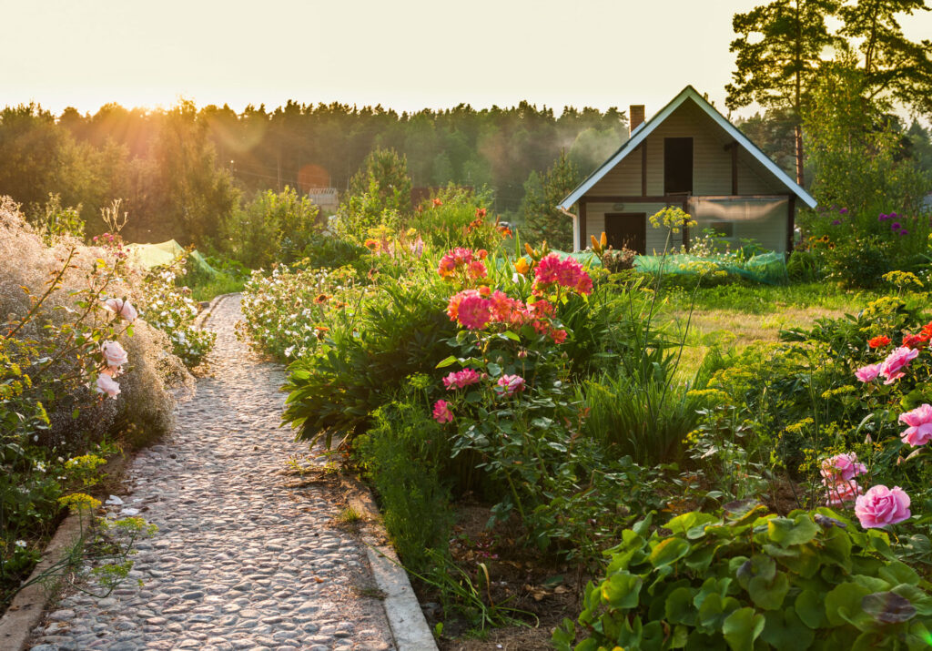 Garden