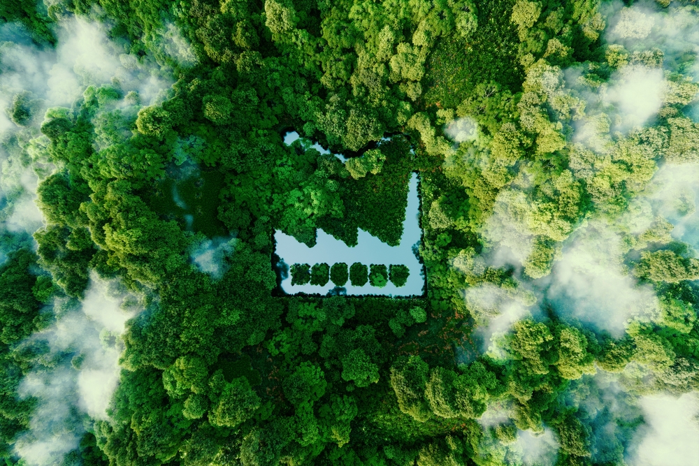 Sustainability forest