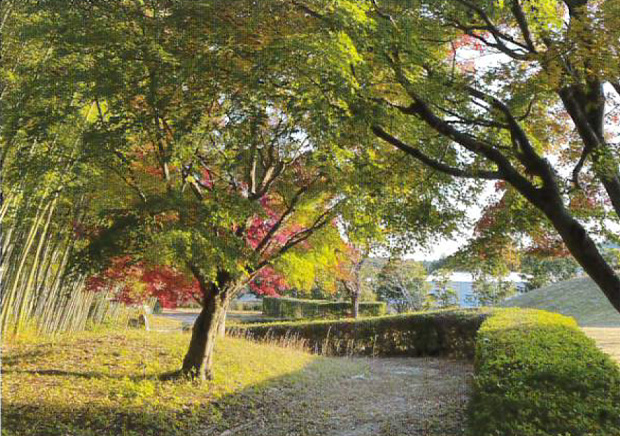 豊かな自然と働く環境 Superb work environment and natural surroundings